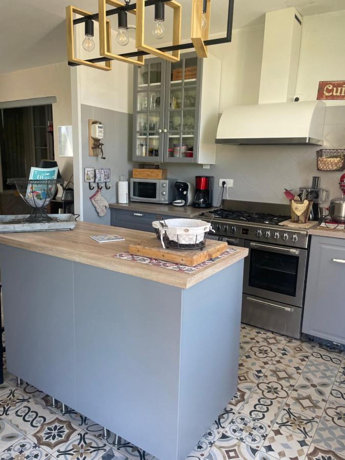 Appartement Avec Jardin En Ville LʼIsle-sur-la-Sorgue Buitenkant foto