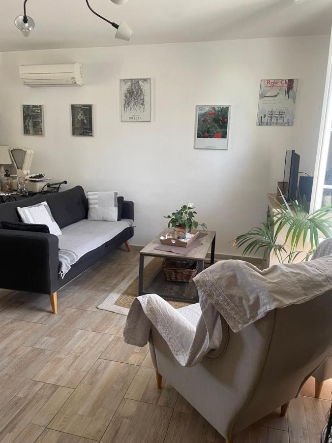 Appartement Avec Jardin En Ville LʼIsle-sur-la-Sorgue Buitenkant foto